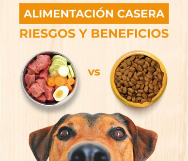 Transforma la salud de tu mascota