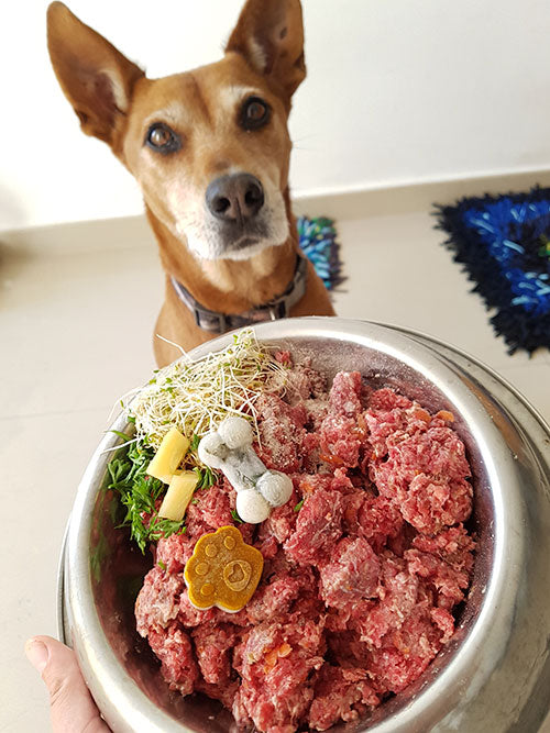 Todo en Uno: 300 Recetas Saludables + Guías GRATIS para la salud y seguridad de tu mascota + recetas BONUS EXTRA